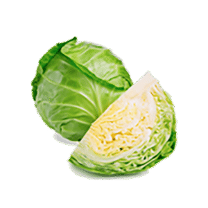Cabbage