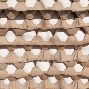 Free Range Eggs - 30 Tray (700g)