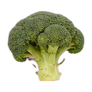 Fresh broccoli
