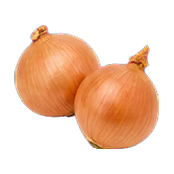 Onion