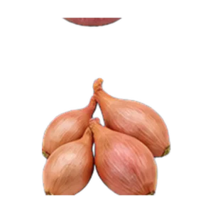 Brown Shallots