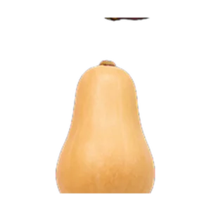 Butternut Pumpkin