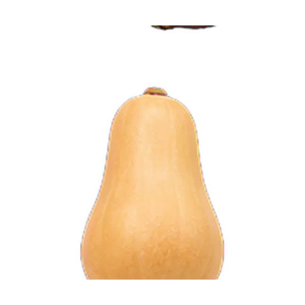 Butternut Pumpkin