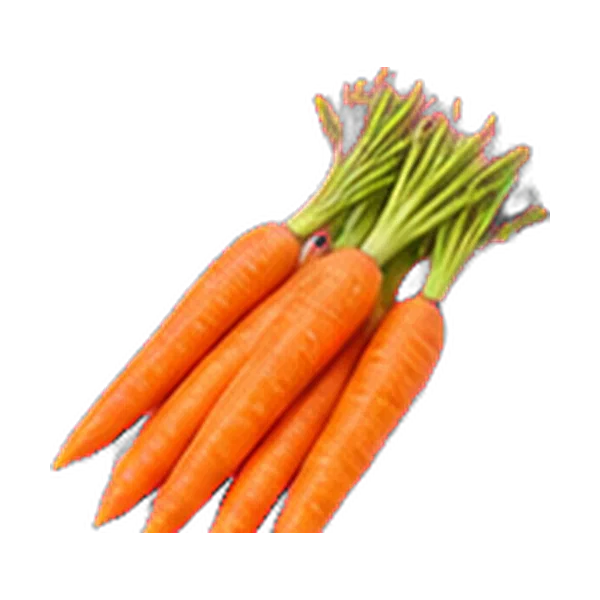 Carrot