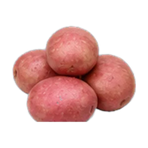 Desiree Potato