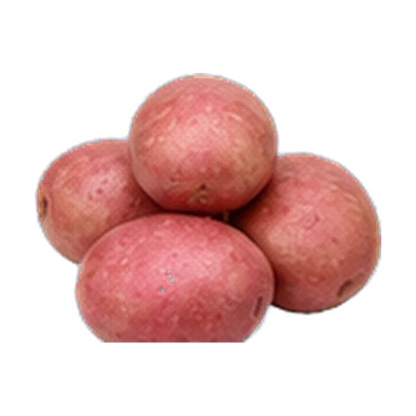 Desiree Potato