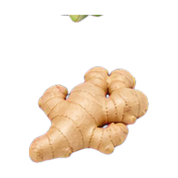 Ginger