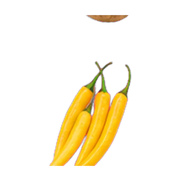 Hot Yellow Chilli
