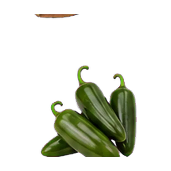 Jalapeno Chilli