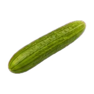Lebanese Cucumber