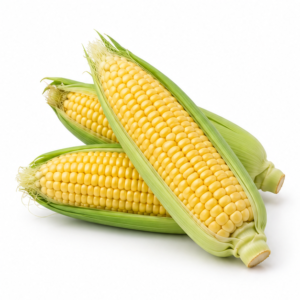 Sweet Corn (each)