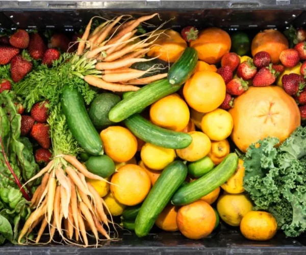 Garden Box fruit and vegetable crate Crate of fresh fruit and vegetables