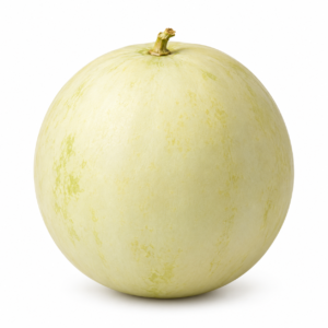 Honeydew Melon - Large