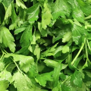 Fresh parsley