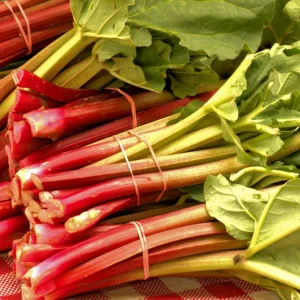 Fresh rhubarb