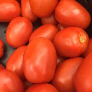 Fresh roma tomatoes
