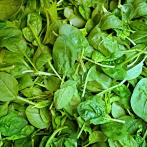 Fresh spinach