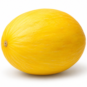 Yellow Melon - Small (each)